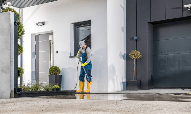 Animal Enclosure Cleaning in Bremerton, WA